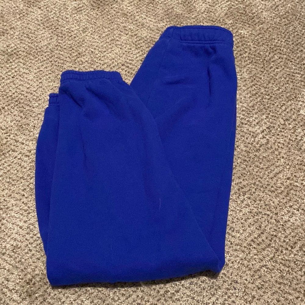 ARITZIA Cozy Fleece Royal Blue Sweatpants, S